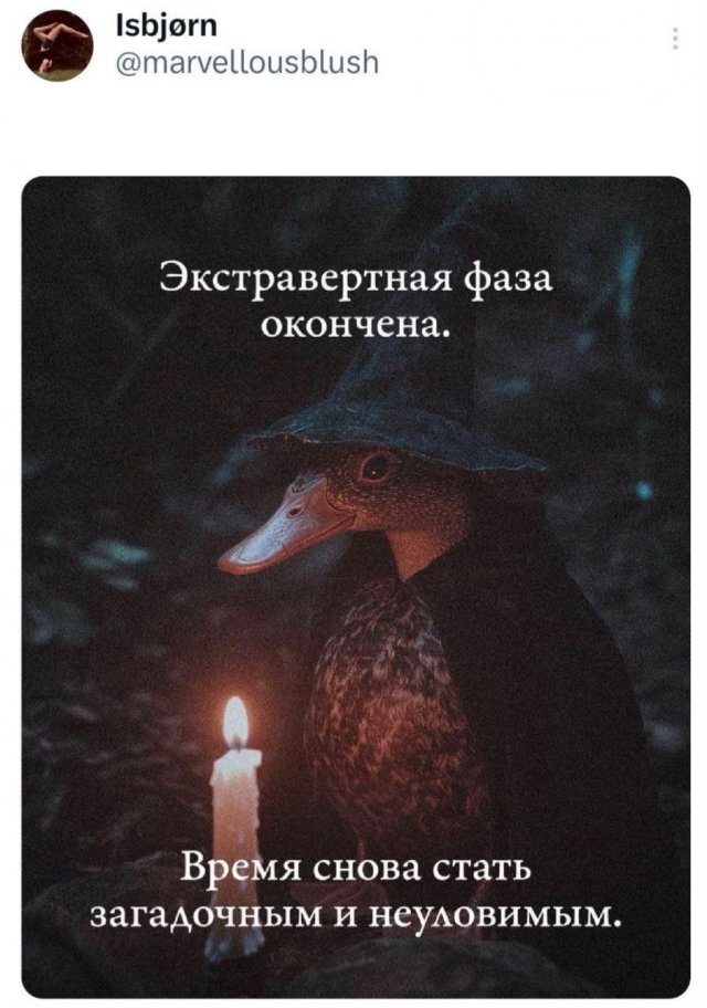 Подборка забавных твитов обо всем