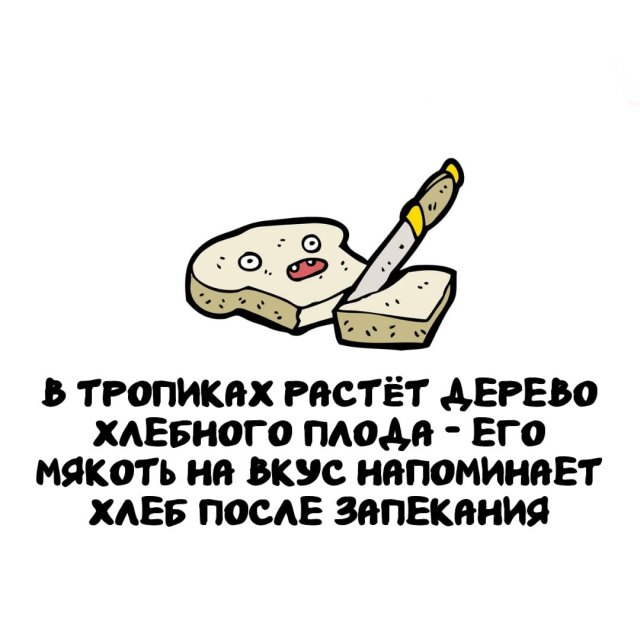 Интересные факты на все случаи жизни