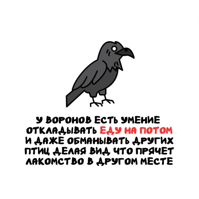 Интересные факты на все случаи жизни