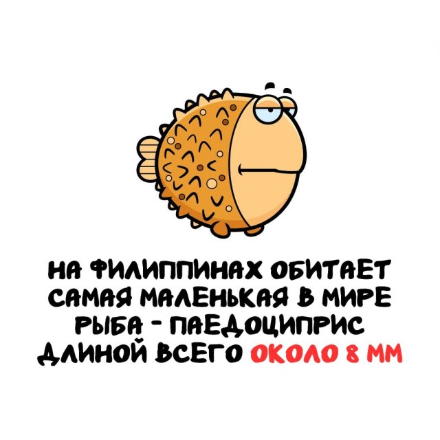 Интересные факты на все случаи жизни
