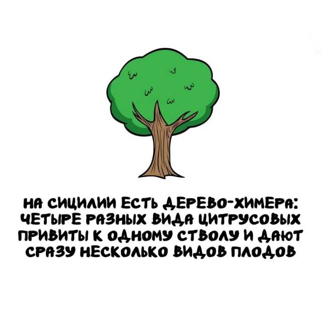 Интересные факты на все случаи жизни