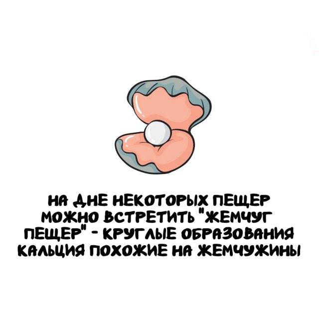 Интересные факты на все случаи жизни