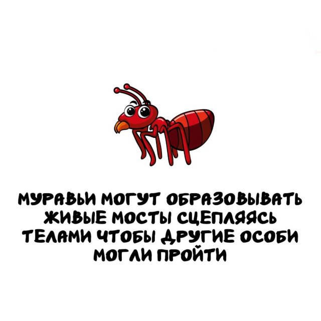 Интересные факты на все случаи жизни