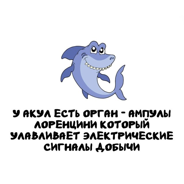 Интересные факты на все случаи жизни