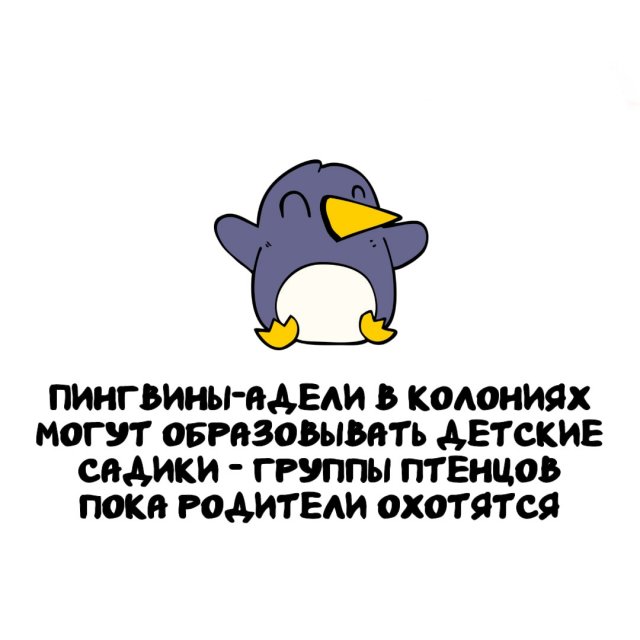 Интересные факты на все случаи жизни