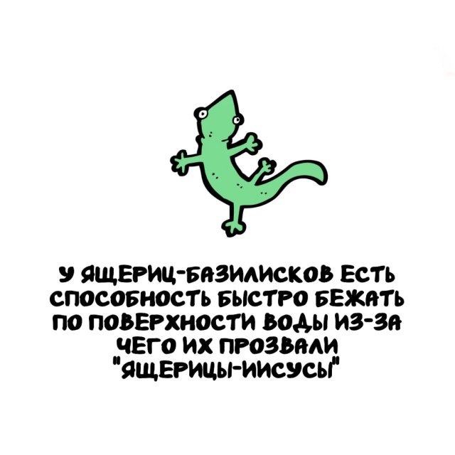 Интересные факты на все случаи жизни