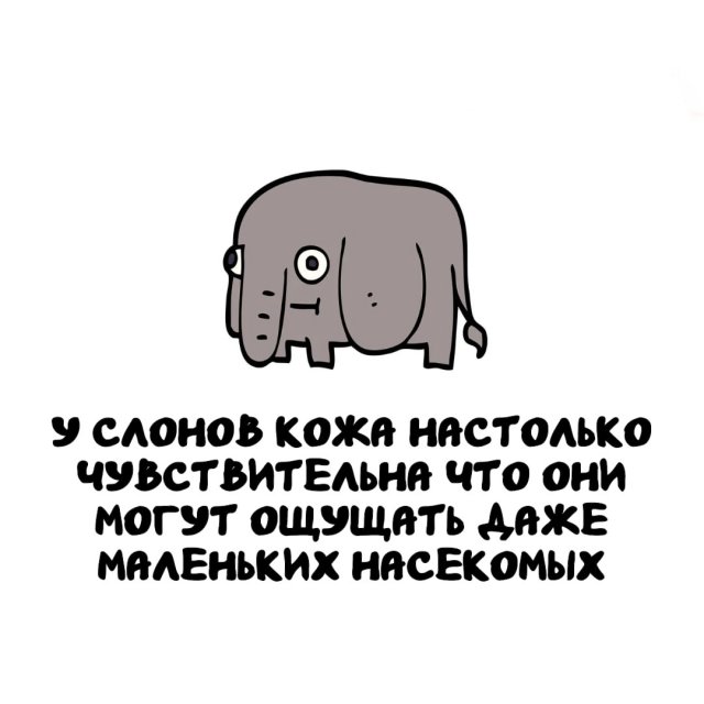 Интересные факты на все случаи жизни