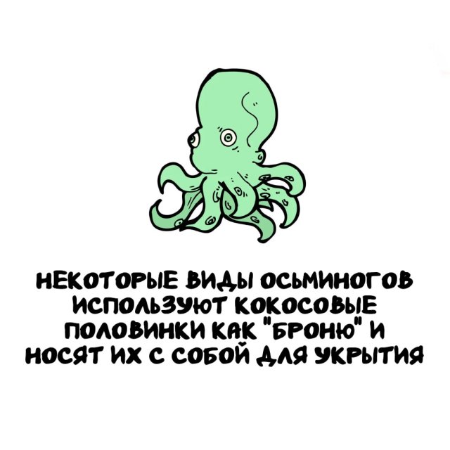 Интересные факты на все случаи жизни