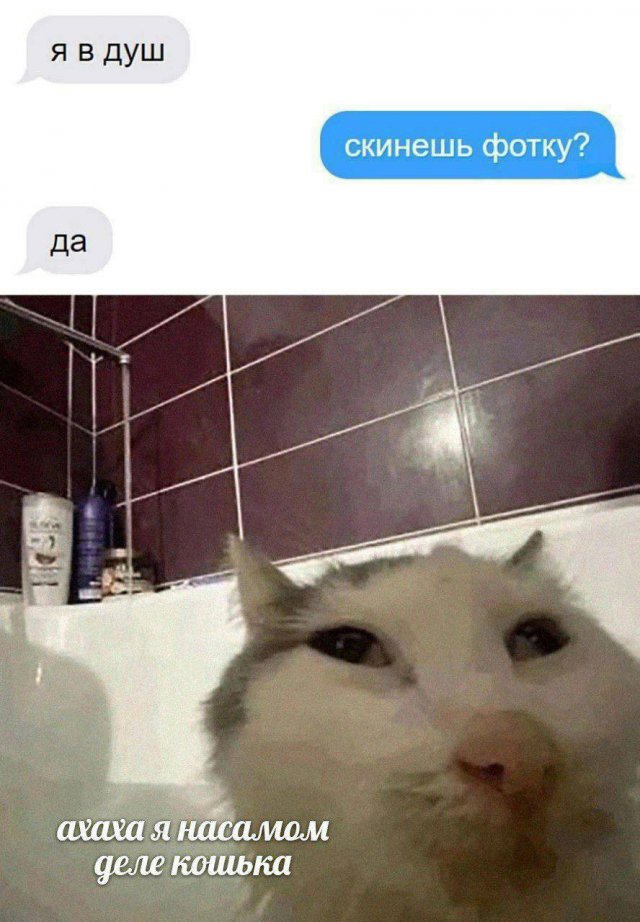 Лучшие шутки и мемы из Сети - 03.10.2025