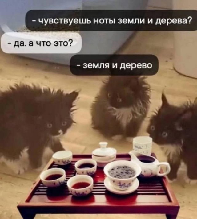 Лучшие шутки и мемы из Сети - 03.10.2025