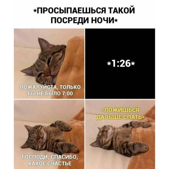 Смешные мемы - 06.10.2025