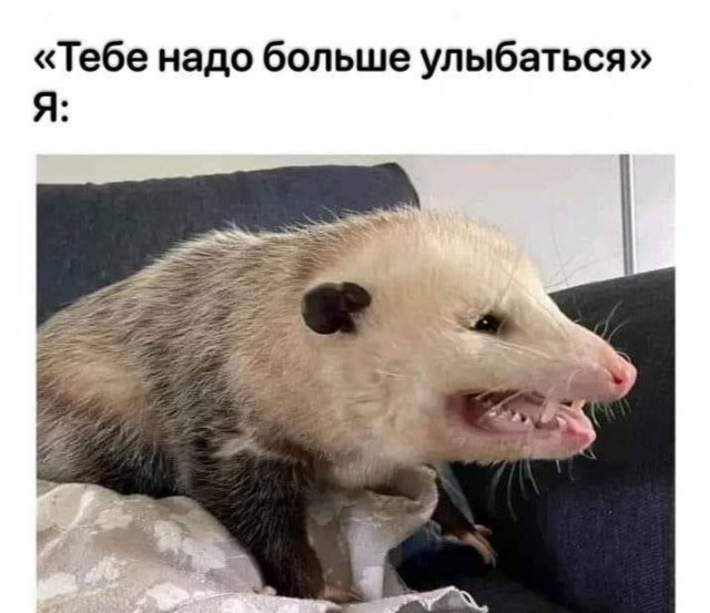 Смешные мемы - 06.10.2025