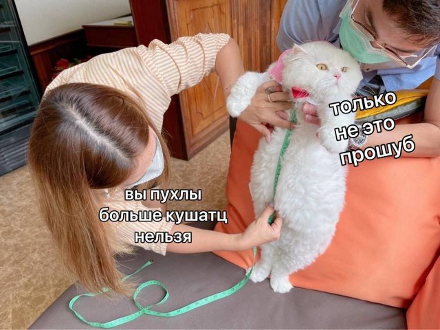 Смешные мемы - 06.10.2025