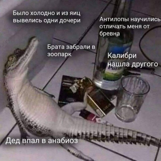 Лучшие шутки и мемы из Сети - 06.10.2025