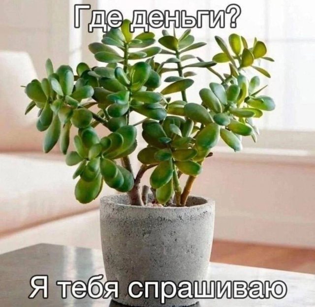 Смешные картинки - 06.10.2025