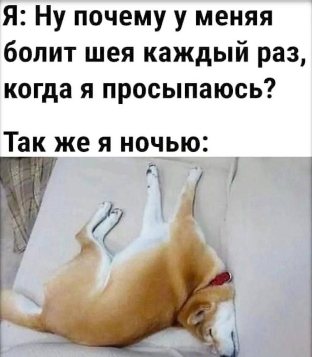 Смешные картинки - 06.10.2025