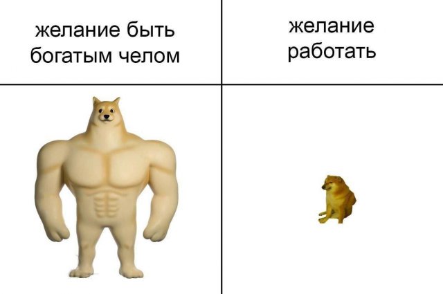 Смешные мемы - 07.10.2025