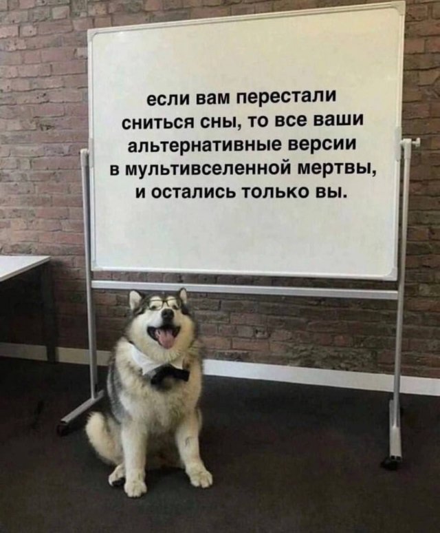 Смешные мемы - 07.10.2025
