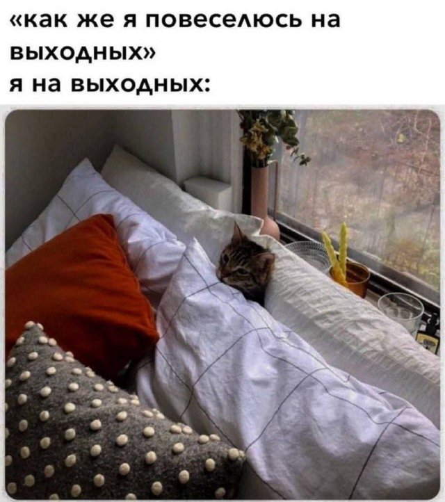 Смешные мемы - 07.10.2025
