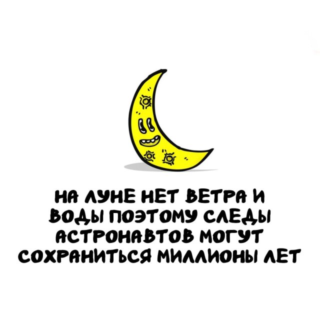 Интересные факты на все случаи жизни