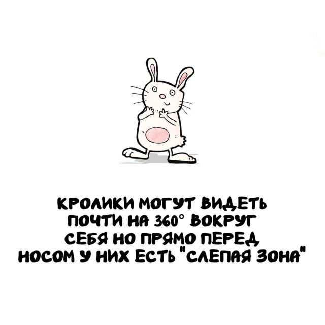 Интересные факты на все случаи жизни