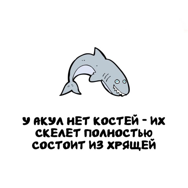 Интересные факты на все случаи жизни