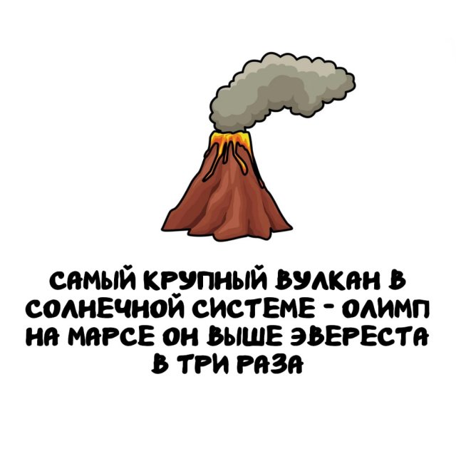 Интересные факты на все случаи жизни