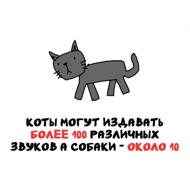Интересные факты на все случаи жизни