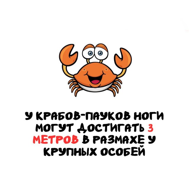 Интересные факты на все случаи жизни