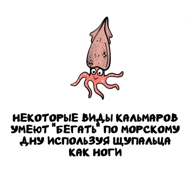 Интересные факты на все случаи жизни