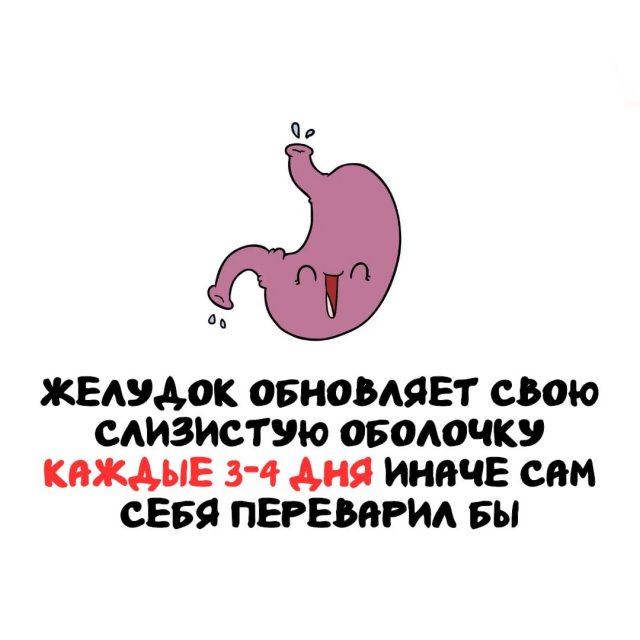 Интересные факты на все случаи жизни