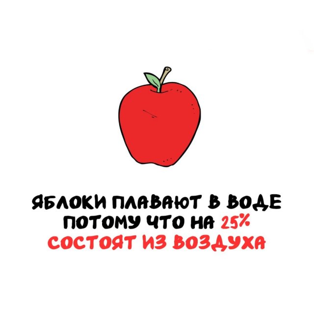 Интересные факты на все случаи жизни