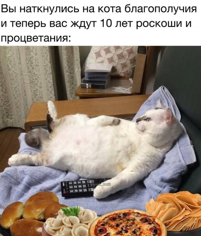 Лучшие шутки и мемы из Сети - 07.10.2025