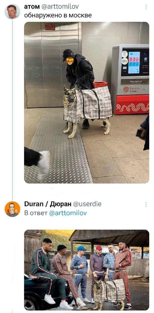 Подборка забавных твитов обо всем