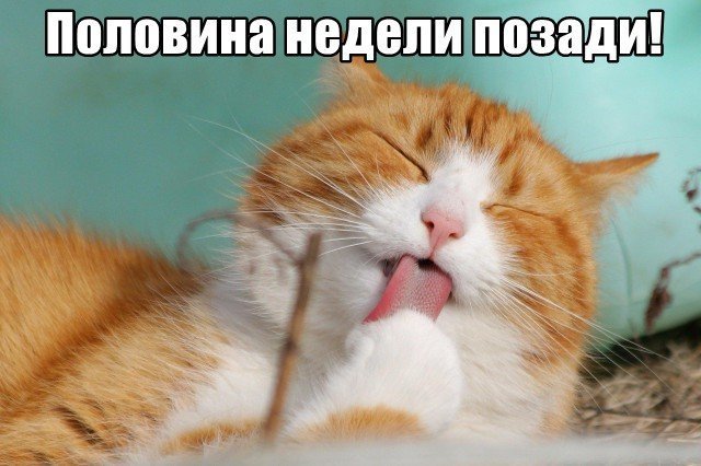 Трынделка - 08.10.2025