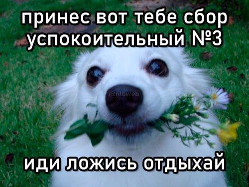 Лучшие шутки и мемы из Сети - 08.10.2025