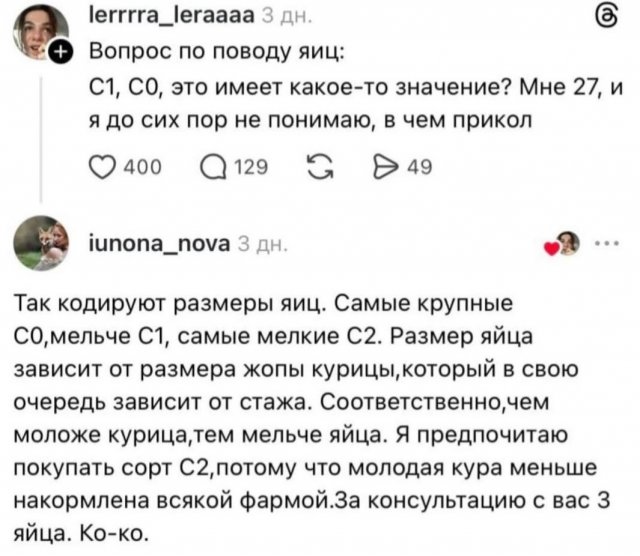 яйца, сколько яиц, вари яйца, сколько варить яйца, без яиц, яйцо куриное яйца, сколько яиц, вари яйца, сколько варить яйца, без яиц, яйцо куриное