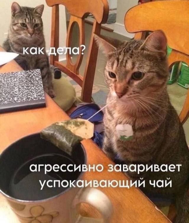 Смешные мемы - 09.10.2025