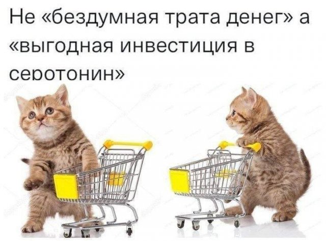 Смешные мемы - 09.10.2025