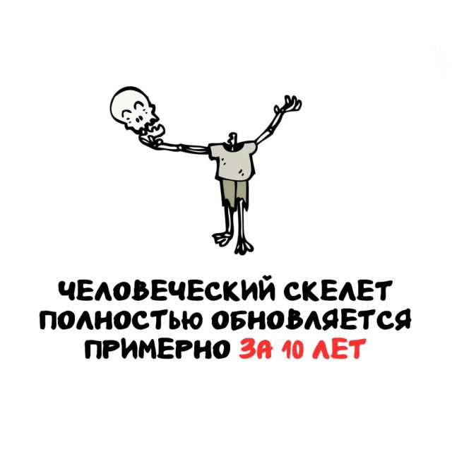 Интересные факты на все случаи жизни