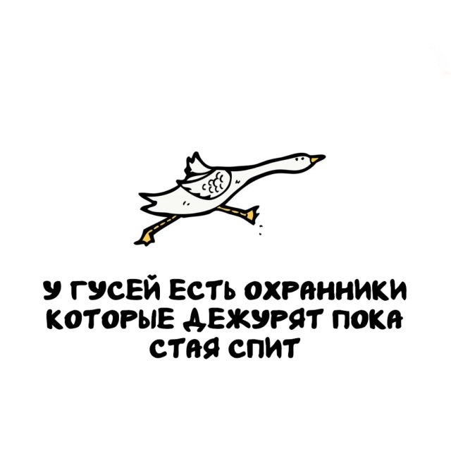 Интересные факты на все случаи жизни