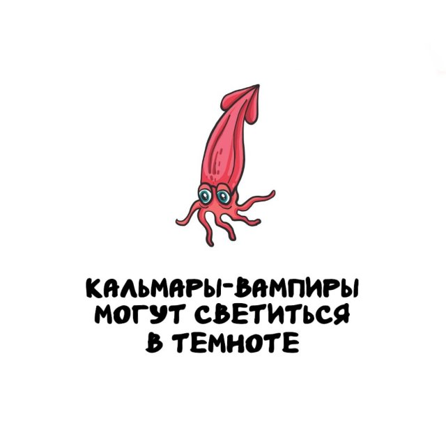 Интересные факты на все случаи жизни