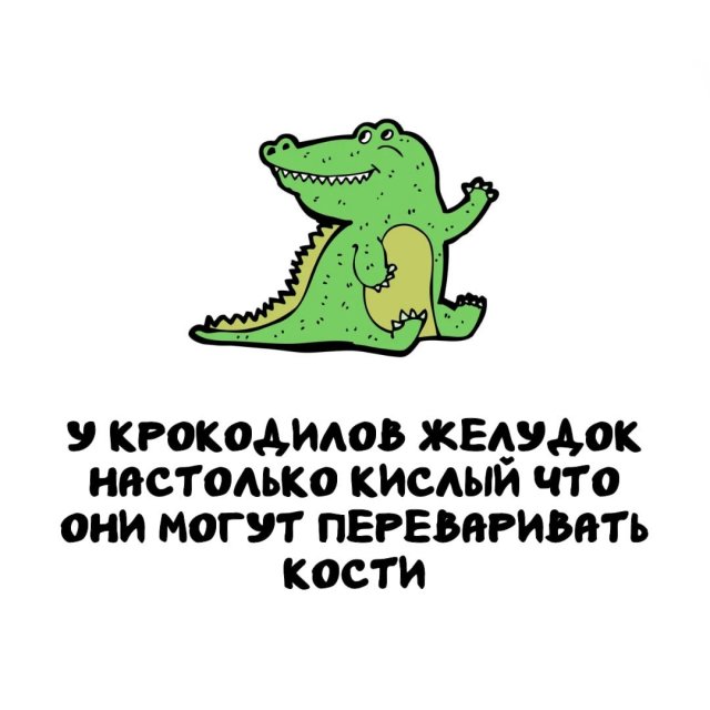 Интересные факты на все случаи жизни