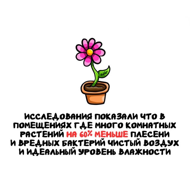 Интересные факты на все случаи жизни