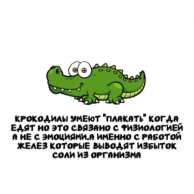 Интересные факты на все случаи жизни