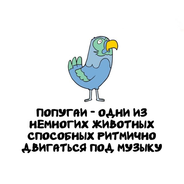 Интересные факты на все случаи жизни