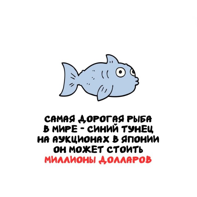 Интересные факты на все случаи жизни