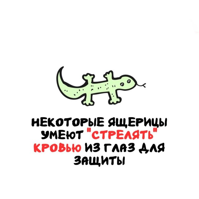 Интересные факты на все случаи жизни