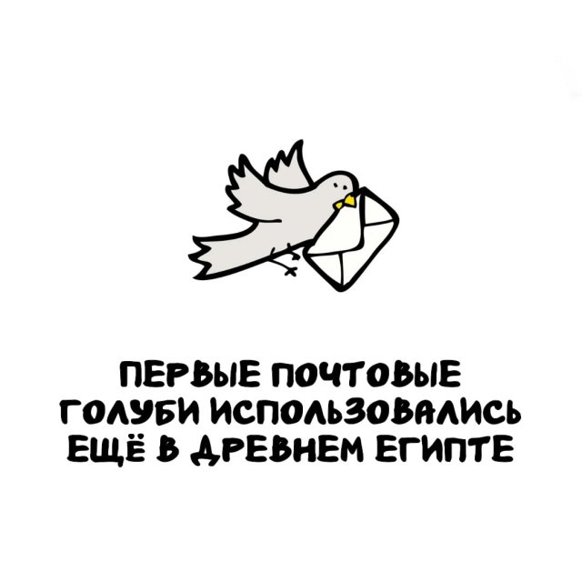 Интересные факты на все случаи жизни