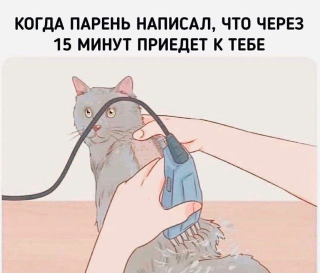 Лучшие шутки и мемы из Сети - 09.10.2025